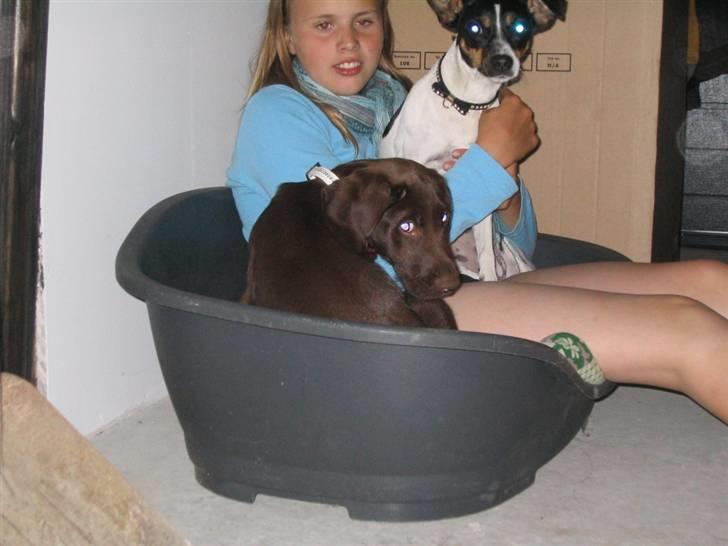 Blanding af racer Tanja <3 :D - Tanja og Snubi og dolle heh <3 :D billede 8