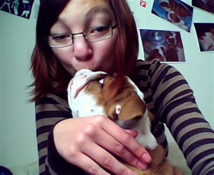 Engelsk bulldog Labor of love Kinibox - Os :D Vi kysser :b hehe ..  billede 2