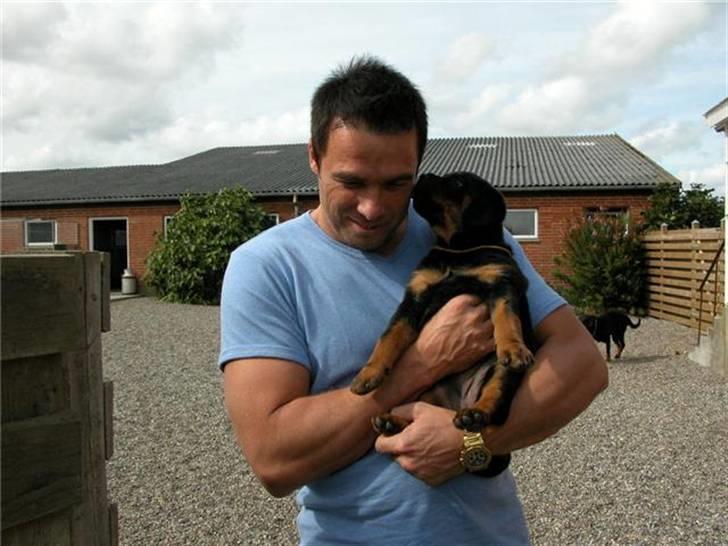 Rottweiler dakota billede 7