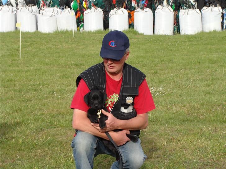 Labrador retriever Aiko - Aiko´s første gang på trænings pladsen billede 6