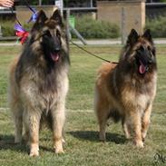 Tervueren  Susmik´s Jill v/Tiene