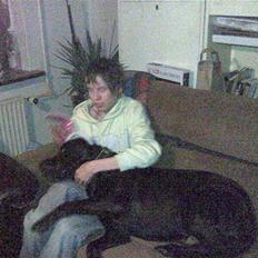 Blanding af racer bamsr