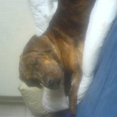 Blanding af racer Mario R.I.P :´(