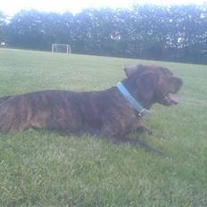 Blanding af racer Mario R.I.P :´(