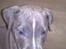 Blanding af racer Cassie <3        R.I.P. 