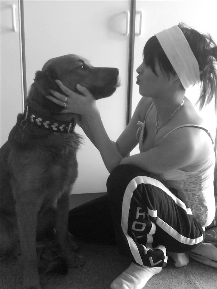 Blanding af racer Pumba billede 16