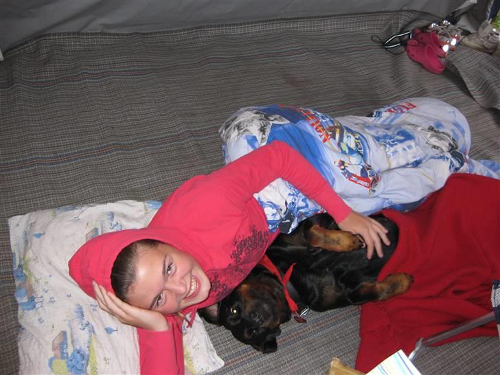 Rottweiler Trunte - Råhygge i forteltet med Ida:-) billede 2