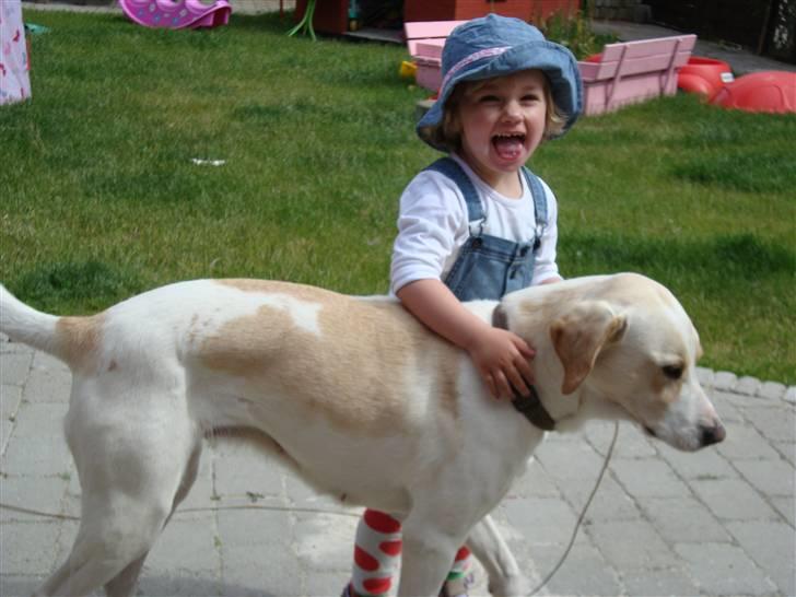 Blanding af racer Nala - leger lige med en af mine ejer nemlig lille nynne billede 6