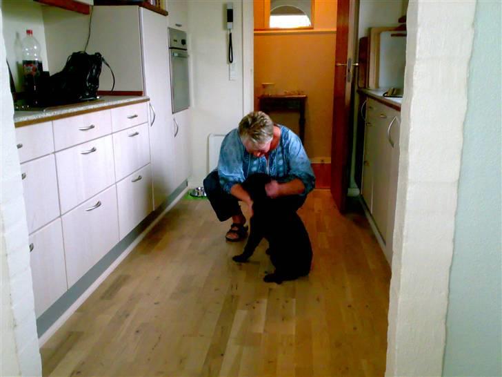 Blanding af racer Viktor - Mig og min "nye mor" er lige kommet hjem billede 13