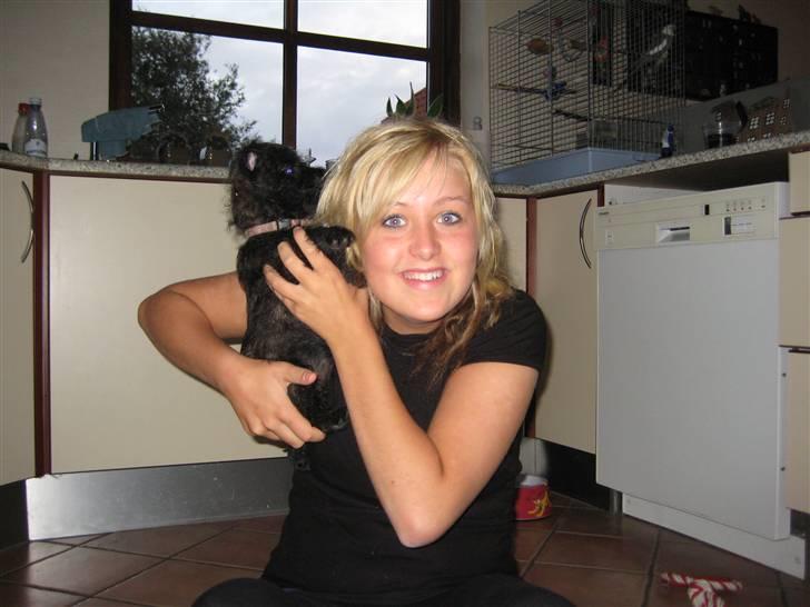 Cairn terrier Thea - Thea og katrine billede 12