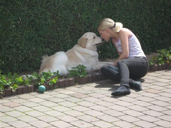 Blanding af racer Chili billede 17