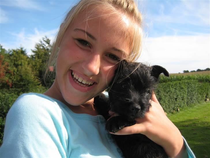 Cairn terrier Thea - Thea og miiig billede 15