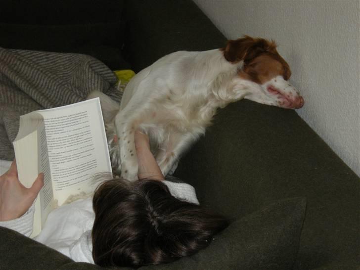 Breton Gaston billede 5