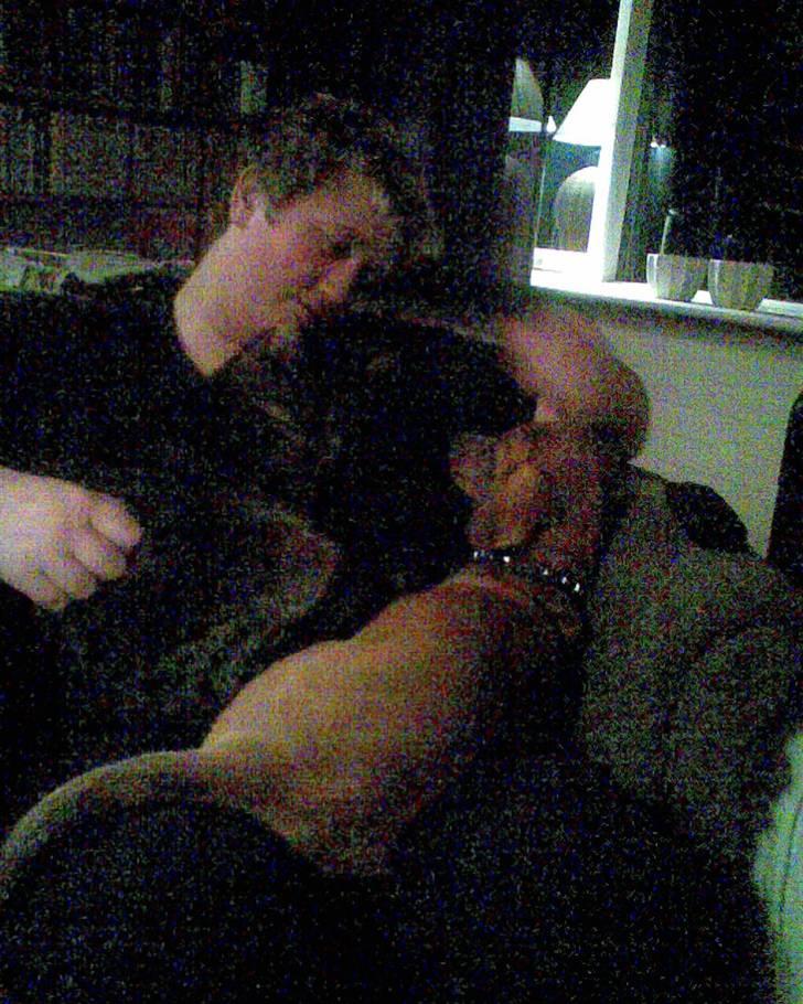 Blanding af racer Trunte billede 5