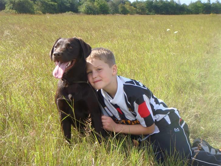 Labrador retriever Fenya - Fenya og Jacob September 2009 billede 9