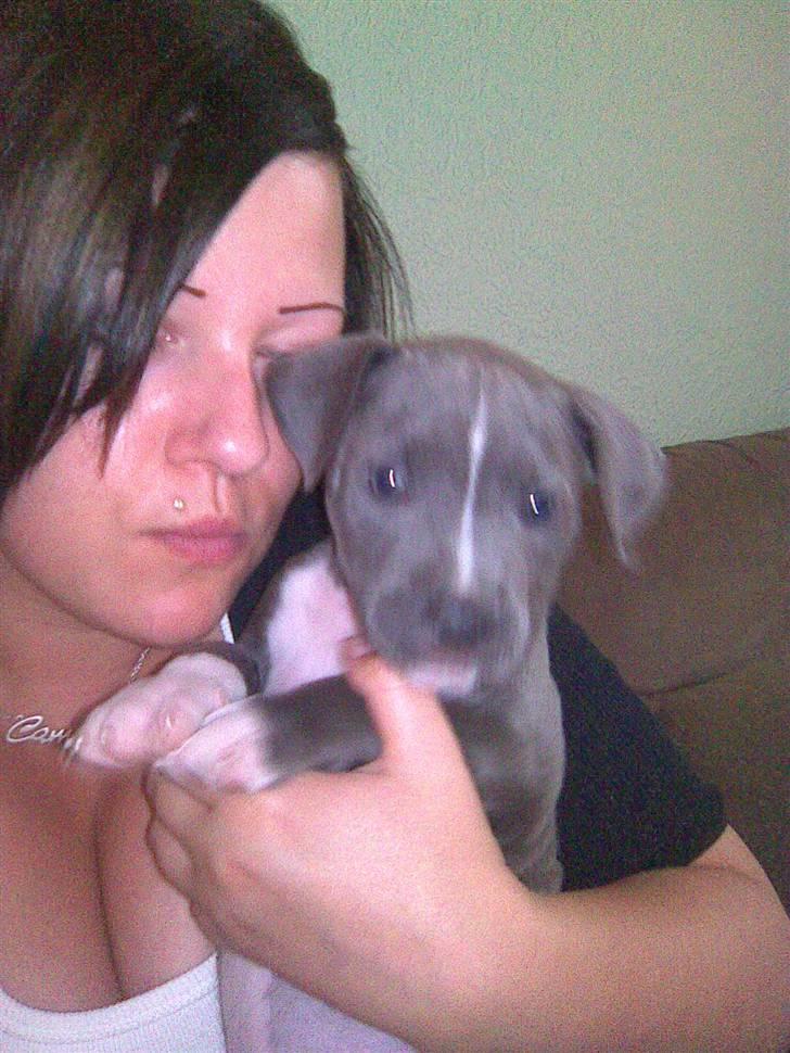 Blanding af racer Cassie <3        R.I.P.  - Ihh moar alle de kys ;) billede 15