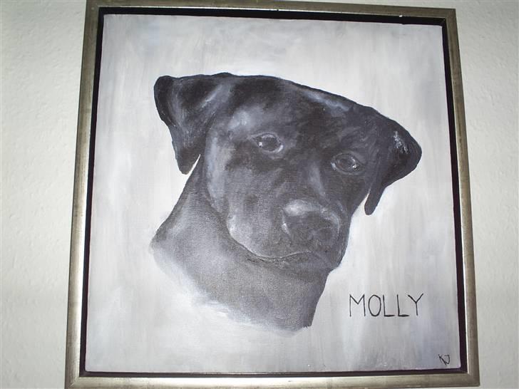 Labrador retriever Molly - Maleri af Molly billede 17