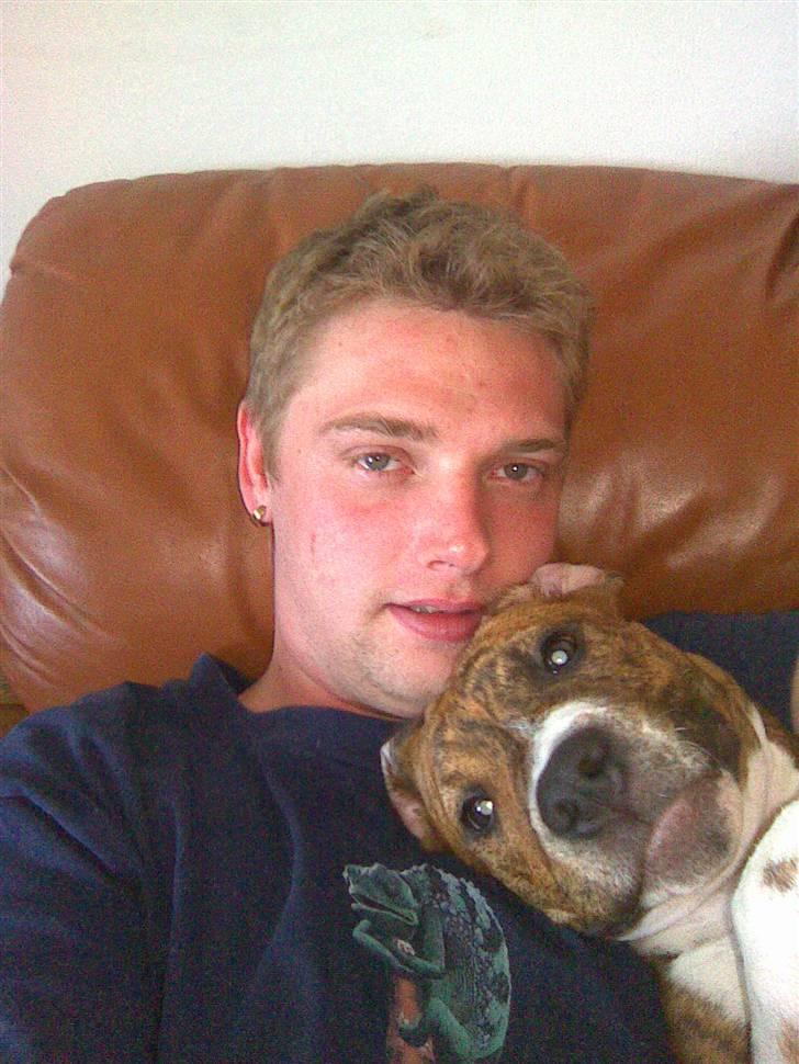 Blanding af racer Laika billede 12