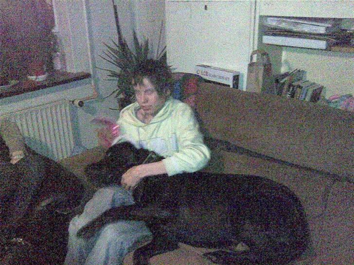 Blanding af racer bamsr - så er jeg også pønte til nytår billede 2