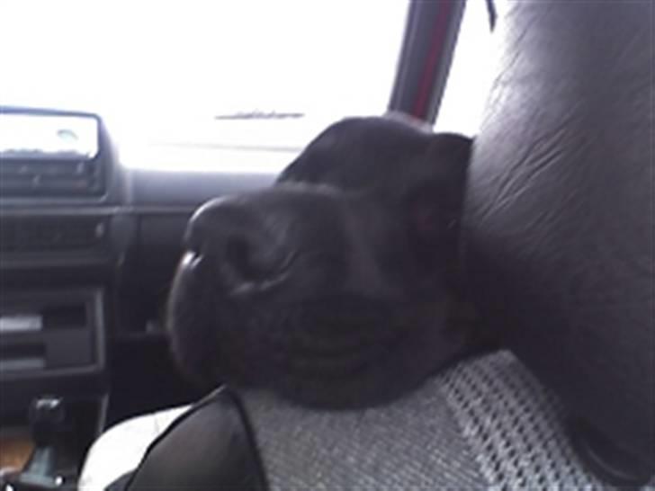 Blanding af racer bamsr - jeg er så af slappet når jeg køre bil billede 7