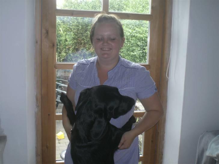 Labrador retriever freja R.I.P. mors pige billede 19