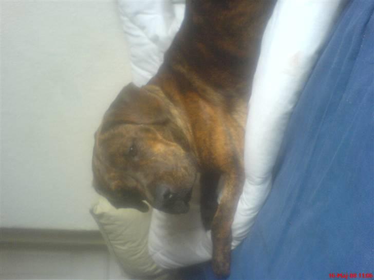 Blanding af racer Mario R.I.P :´( billede 2
