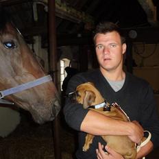 Blanding af racer Alonso