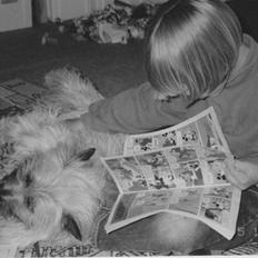 Cairn terrier Rufus R.I.P