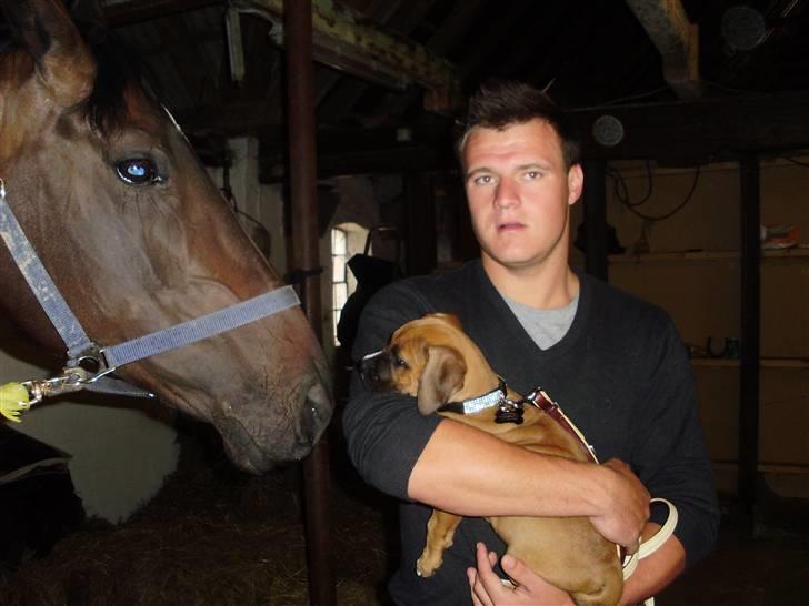 Blanding af racer Alonso - Alonso og Hanky billede 3