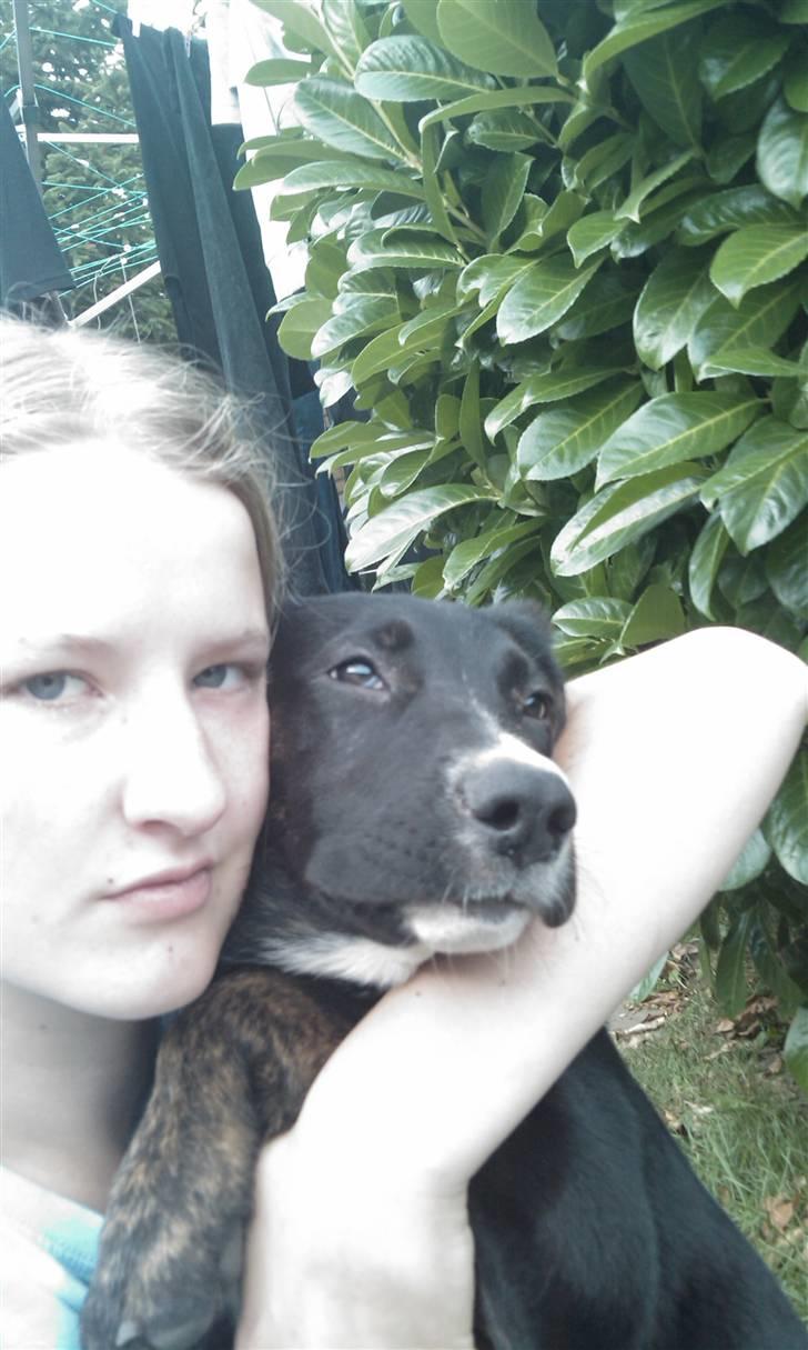 Blanding af racer Malibu solgt :,) billede 5