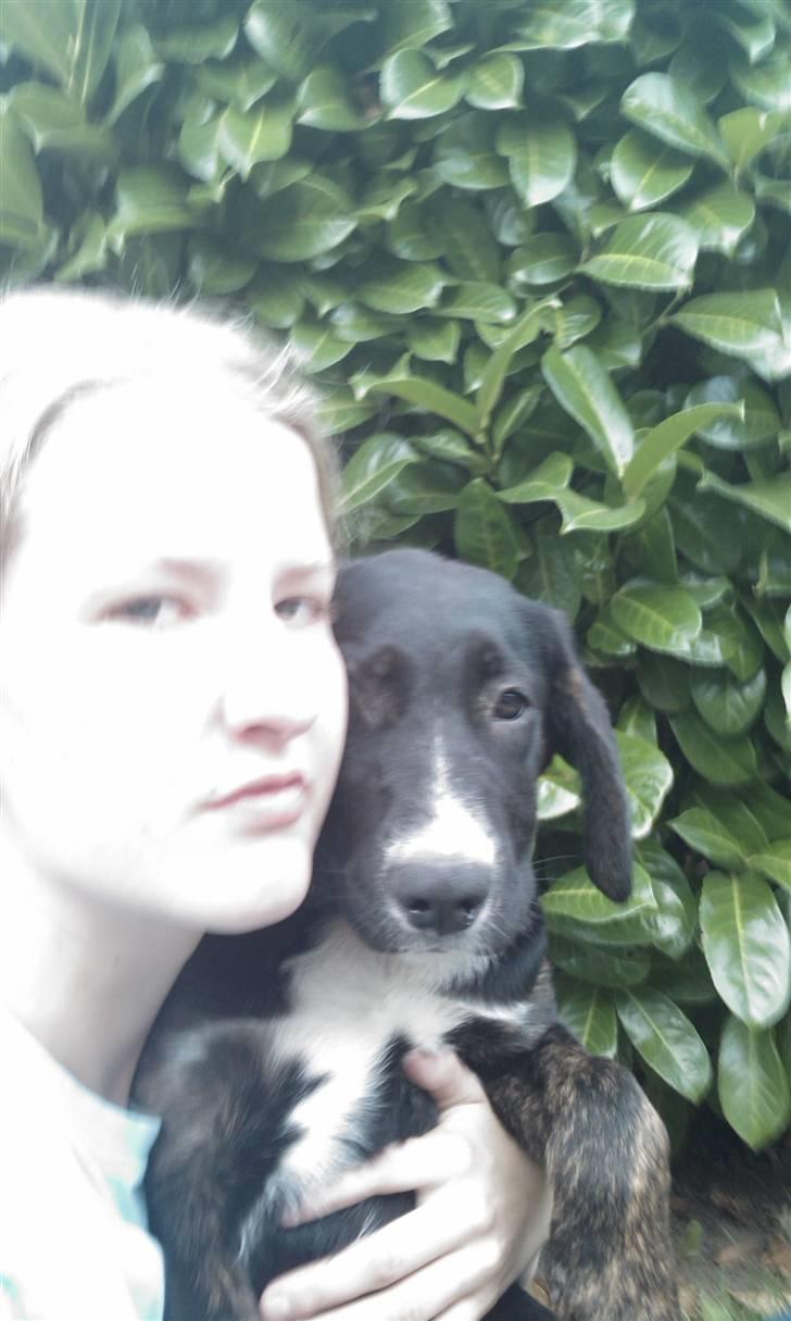 Blanding af racer Malibu solgt :,) billede 6