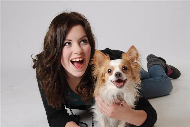 Chihuahua / papillon Viggo - smukke Sabine og Viggo:D:D billede 15