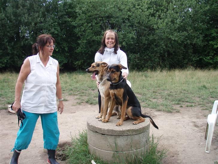 Blanding af racer Nala billede 9