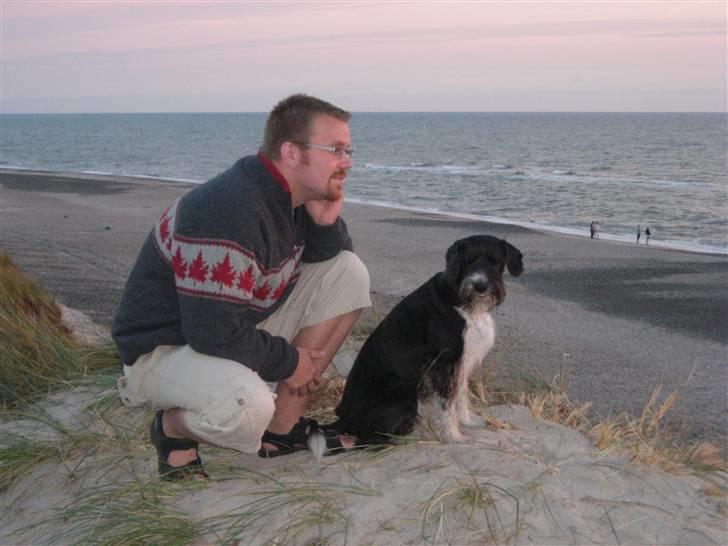 Blanding af racer Jack (Himmelhund) billede 2