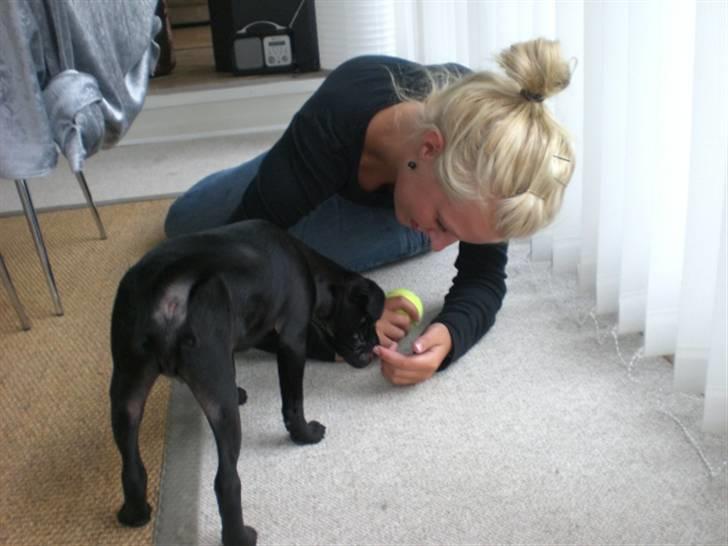 Blanding af racer Mickey - Min søster og Mickey leger :) billede 3