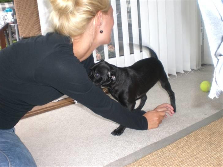 Blanding af racer Mickey - Min søster og Mickey :D billede 6