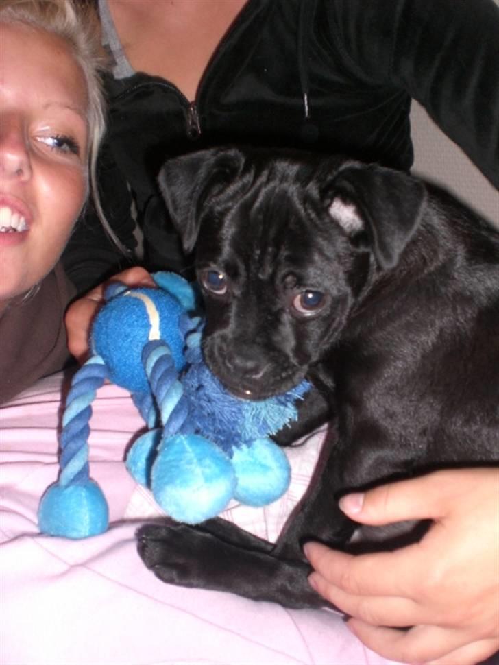 Blanding af racer Mickey - ...:D billede 7