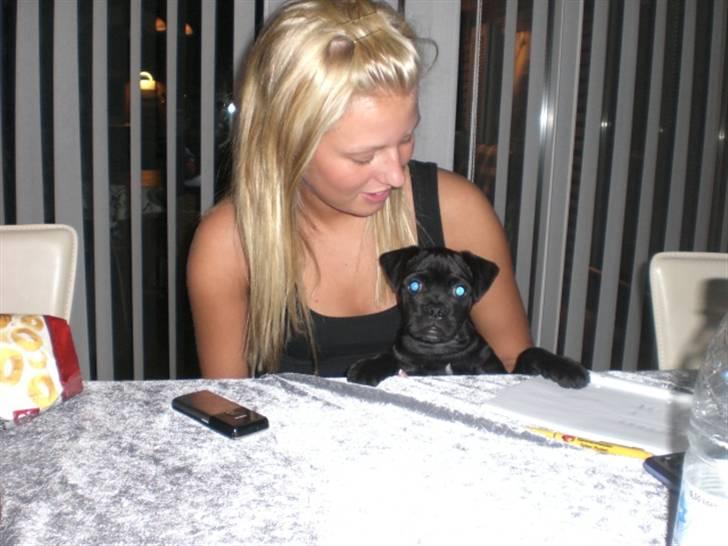 Blanding af racer Mickey - Han ville være med til og spille kort :) billede 10