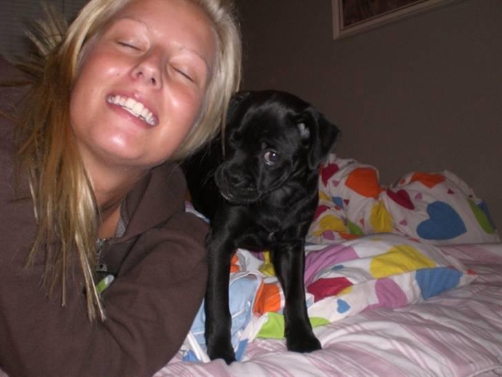 Blanding af racer Mickey - Mickey er bare en frækkert :D billede 13