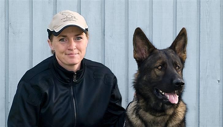 Schæferhund Kenzally´s Alpha (Kenzo) R.I.P   : ( - Velkommen til Kenzo´s profil : ) billede 1