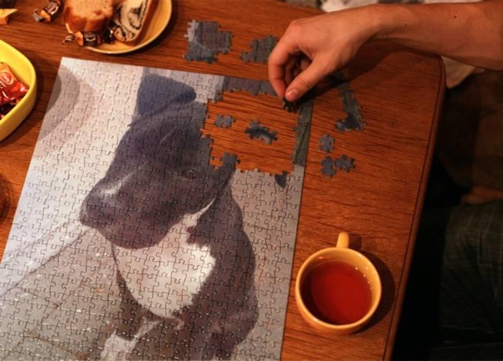 Amerikansk staffordshire terrier Chicco - foto sjov billede 2