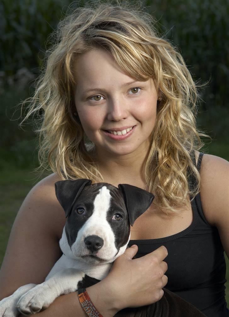 Amerikansk staffordshire terrier Mokai billede 15