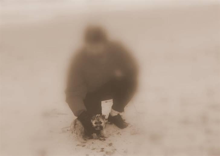 Cairn terrier Rufus R.I.P - ham som hvalp billede 3