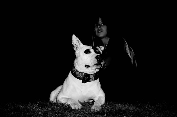 Blanding af racer Keno - ...Mig & mor på udflugt! ;) billede 18