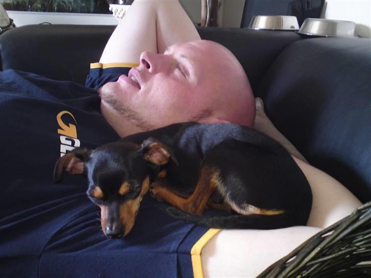 Prazsky krysarik Alma - Kvalitetstid med far... billede 5