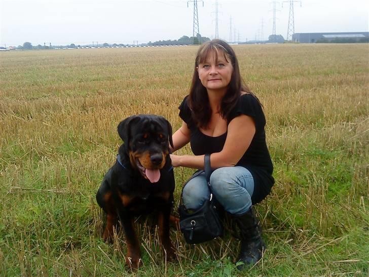 Rottweiler loke billede 1