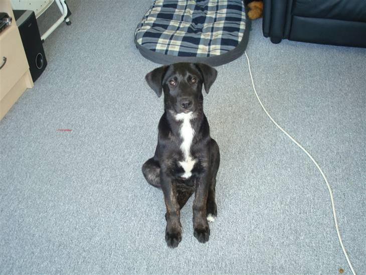 {{currentPhoto.altText}} billede {{currentPhoto.number}}