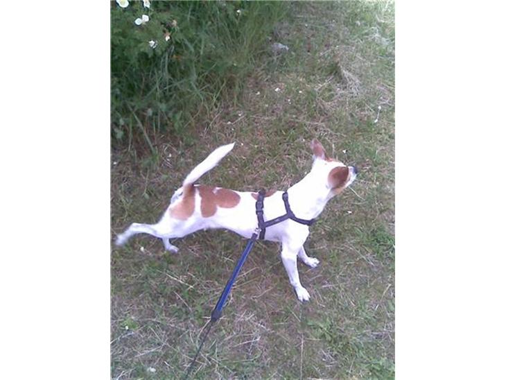 {{currentPhoto.altText}} billede {{currentPhoto.number}}