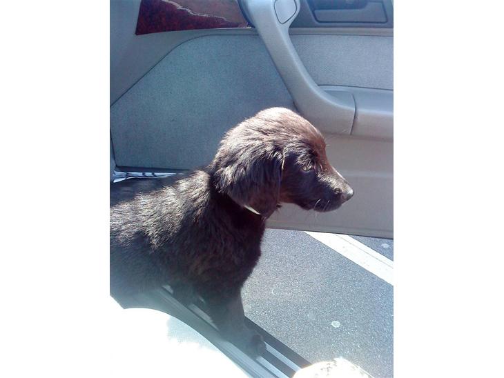 {{currentPhoto.altText}} billede {{currentPhoto.number}}