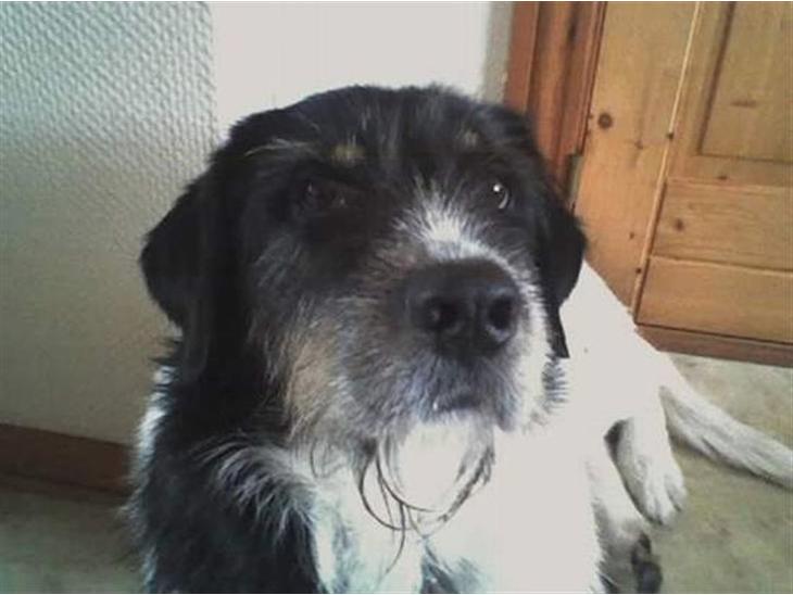 {{currentPhoto.altText}} billede {{currentPhoto.number}}